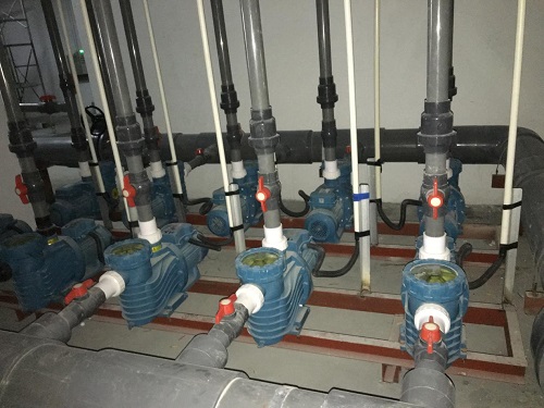 水泵宅男视频免费看