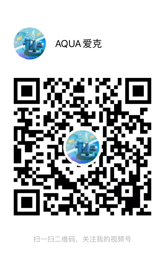 宅男在线播放視頻號