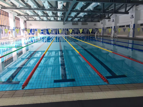 學校遊宅男天堂污污视频