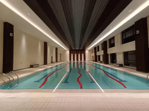 遊宅男天堂污污视频